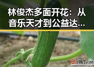 林俊杰多面开花:从音乐天才到公益达人,态度低调引发热议